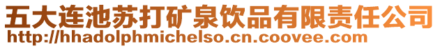 五大連池蘇打礦泉飲品有限責(zé)任公司