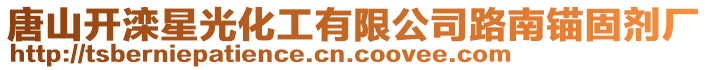 唐山開灤星光化工有限公司路南錨固劑廠