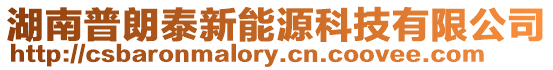 湖南普朗泰新能源科技有限公司