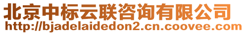 北京中標云聯(lián)咨詢有限公司