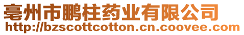 亳州市鵬柱藥業(yè)有限公司