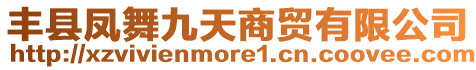 豐縣鳳舞九天商貿(mào)有限公司