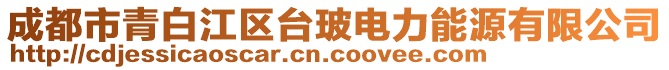 成都市青白江區臺玻電力能源有限公司
