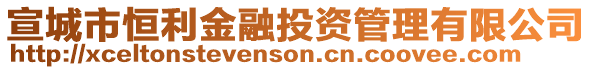 宣城市恒利金融投資管理有限公司
