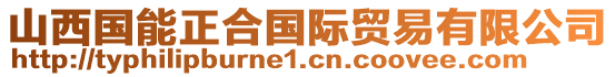 山西國(guó)能正合國(guó)際貿(mào)易有限公司