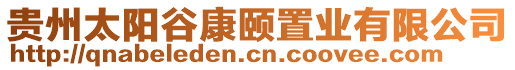 貴州太陽谷康頤置業有限公司