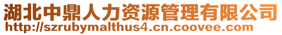 湖北中鼎人力資源管理有限公司