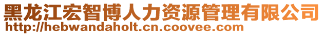 黑龍江宏智博人力資源管理有限公司