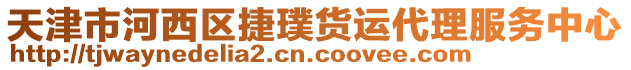 天津市河西區捷璞貨運代理服務中心