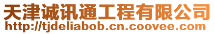 天津誠訊通工程有限公司