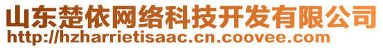 山東楚依網(wǎng)絡科技開發(fā)有限公司