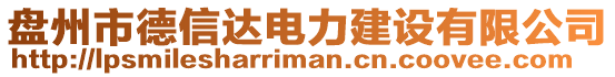 盤州市德信達(dá)電力建設(shè)有限公司