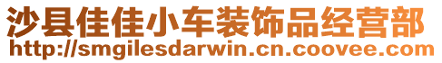 沙縣佳佳小車裝飾品經(jīng)營部