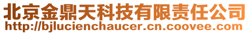 北京金鼎天科技有限責任公司