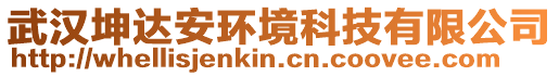 武漢坤達(dá)安環(huán)境科技有限公司