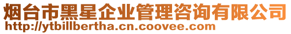 煙臺市黑星企業管理咨詢有限公司