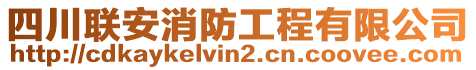 四川联安消防工程有限公司