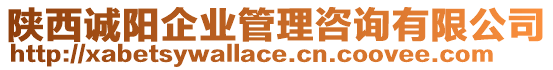 陜西誠陽企業(yè)管理咨詢有限公司