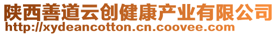 陜西善道云創(chuàng)健康產(chǎn)業(yè)有限公司