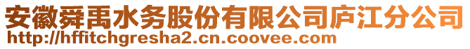 安徽舜禹水務(wù)股份有限公司廬江分公司