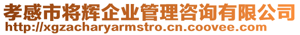 孝感市將輝企業(yè)管理咨詢有限公司