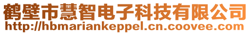 鶴壁市慧智電子科技有限公司