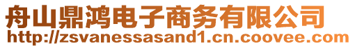 舟山鼎鴻電子商務(wù)有限公司