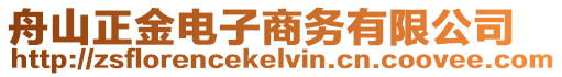 舟山正金電子商務(wù)有限公司