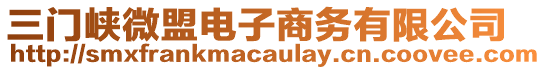 三門峽微盟電子商務(wù)有限公司