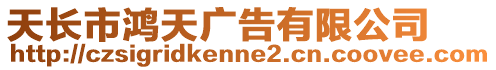 天長市鴻天廣告有限公司