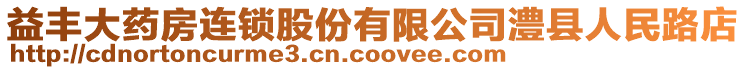 益豐大藥房連鎖股份有限公司澧縣人民路店