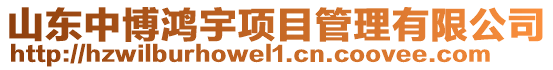 山東中博鴻宇項目管理有限公司