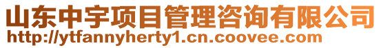 山東中宇項(xiàng)目管理咨詢有限公司