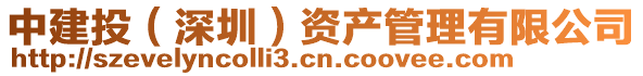 中建投(深圳)資產(chǎn)管理有限公司