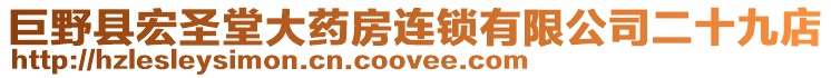 巨野縣宏圣堂大藥房連鎖有限公司二十九店