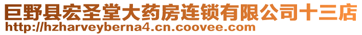 巨野縣宏圣堂大藥房連鎖有限公司十三店