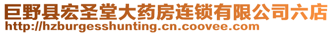 巨野縣宏圣堂大藥房連鎖有限公司六店