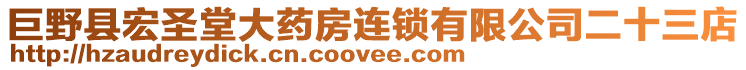 巨野縣宏圣堂大藥房連鎖有限公司二十三店