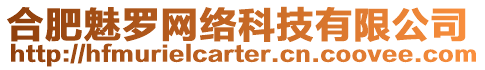 合肥魅羅網(wǎng)絡(luò)科技有限公司
