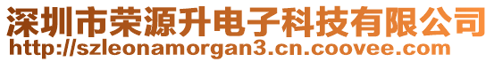 深圳市榮源升電子科技有限公司