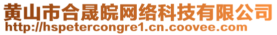 黃山市合晟皖網(wǎng)絡(luò)科技有限公司