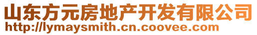 山東方元房地產(chǎn)開發(fā)有限公司