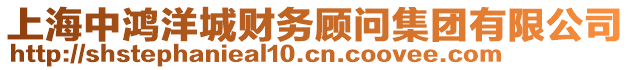 上海中鴻洋城財務顧問集團有限公司