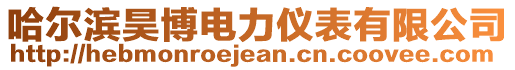 哈爾濱昊博電力儀表有限公司