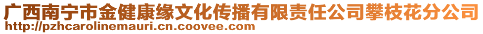 廣西南寧市金健康緣文化傳播有限責任公司攀枝花分公司