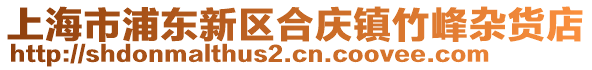上海市浦東新區(qū)合慶鎮(zhèn)竹峰雜貨店