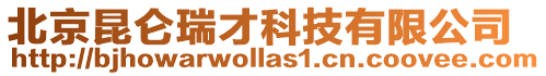 北京昆侖瑞才科技有限公司