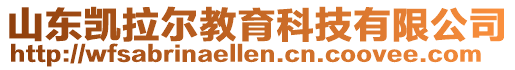 山东凯拉尔教育科技有限公司