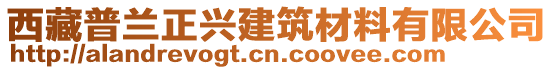 西藏普兰正兴建筑材料有限公司