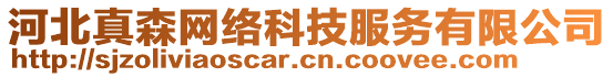 河北真森網(wǎng)絡(luò)科技服務(wù)有限公司